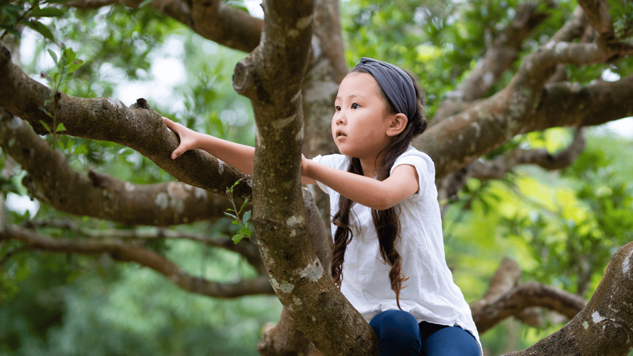 Girl climbs tree, decides next branch to climb